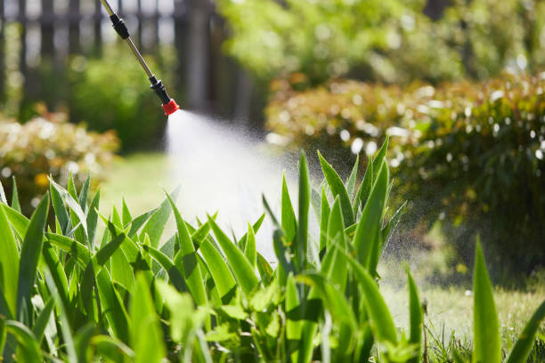 24/7 Emergency Ant Control experts in Linton, IN