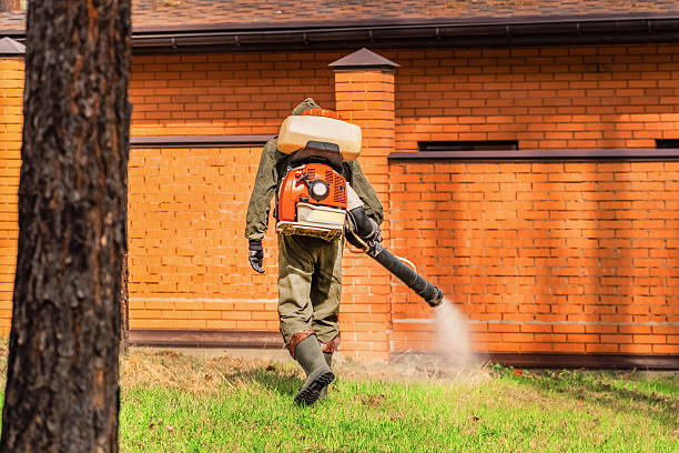 Top rated local Ant Control specialists in Linton, IN